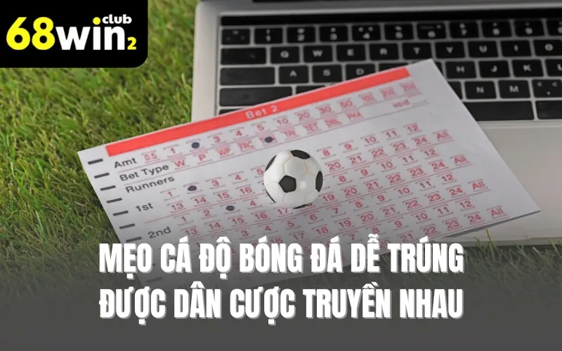 Mẹo cá độ bóng đá dễ trúng được dân cược truyền nhau