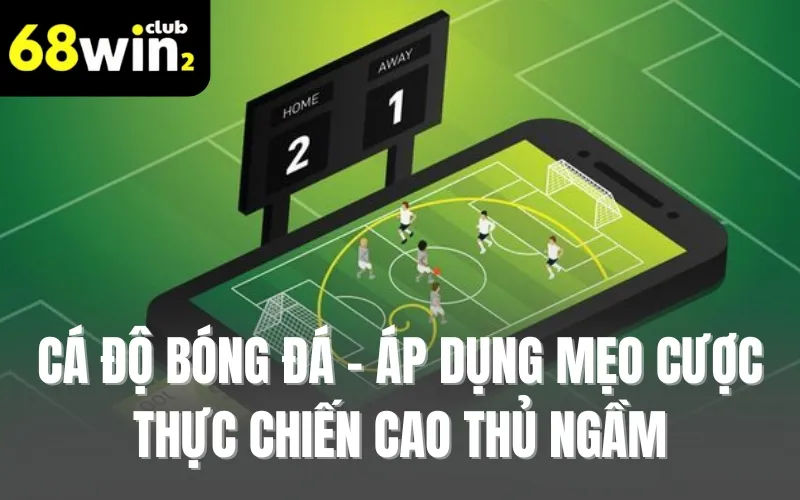 Cá Độ Bóng Đá - Áp Dụng Mẹo Cược Thực Chiến Cao Thủ Ngầm